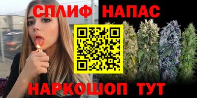 PSILOCYBIN Можга