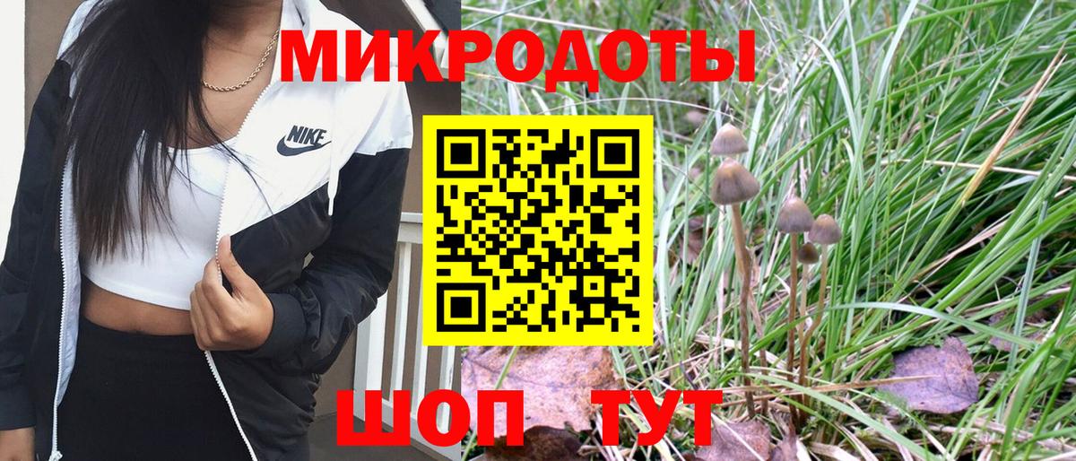 Псилоцибиновые грибы мицелий  Вход с VPN  Заречный 